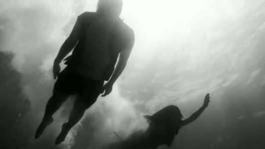 White Claw Campaign White Claw Campaign