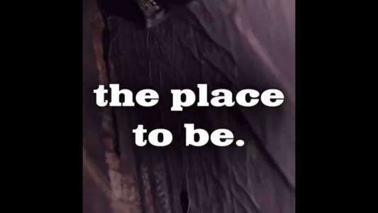 Black and Mild Cigar Black and Mild Cigar